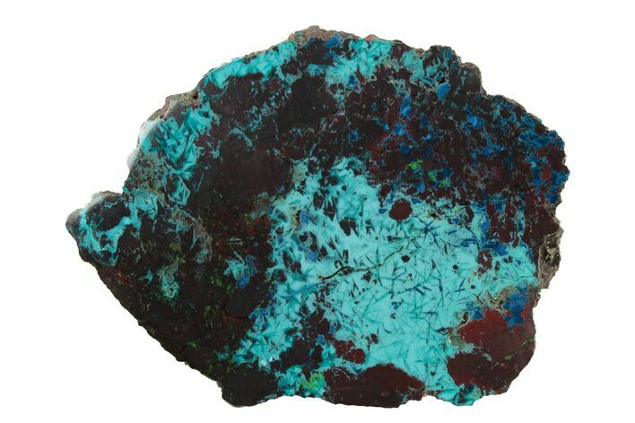 Colorful Chrysocolla and Shattuckite Slab - Mexico #240606